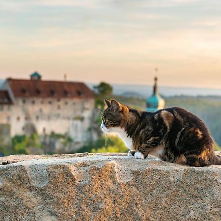 Hotel Zur Aussicht Хонштайн Экстерьер фото
